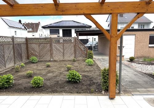 Blick in den Garten