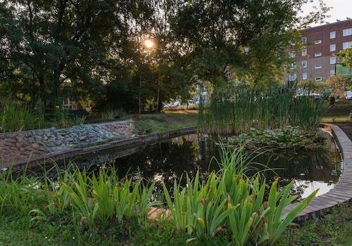 Gartenanlage