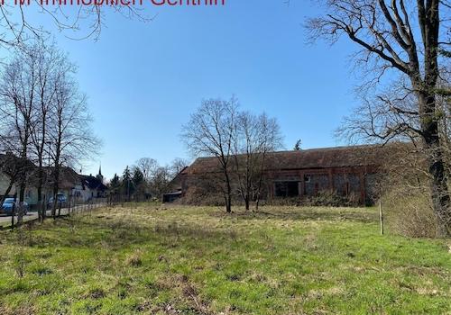 Garten / Wiese