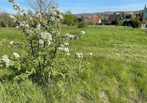 Hier sind 18 Baugrdt. entstanden