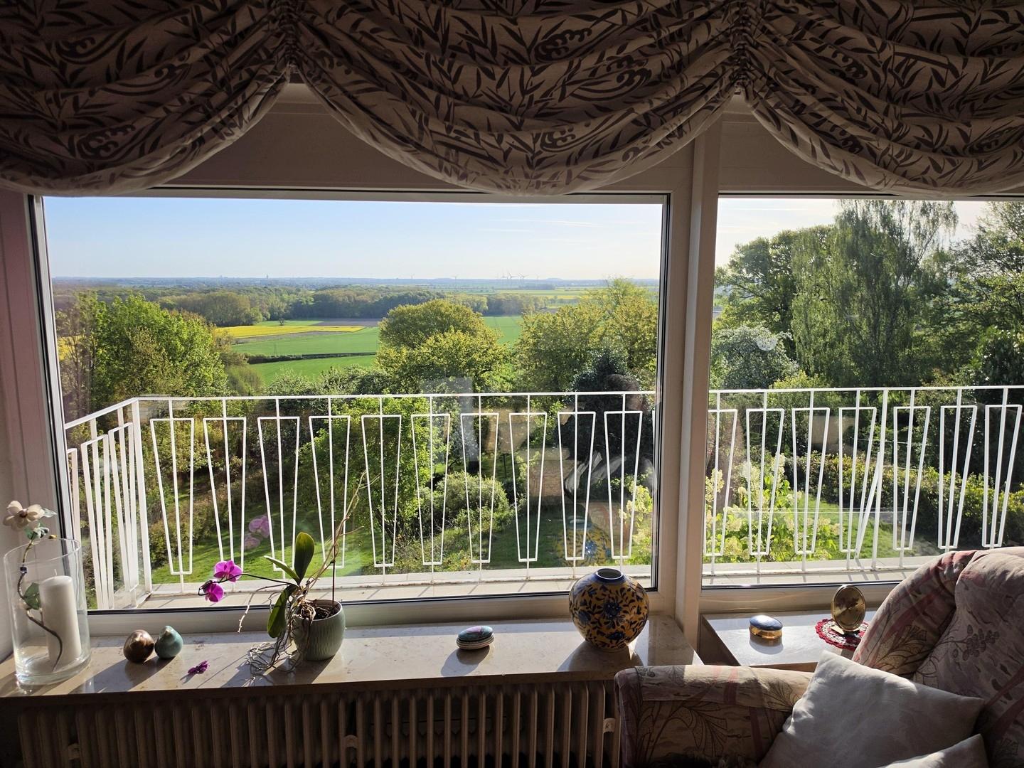 Blick aus dem Wohnzimmer