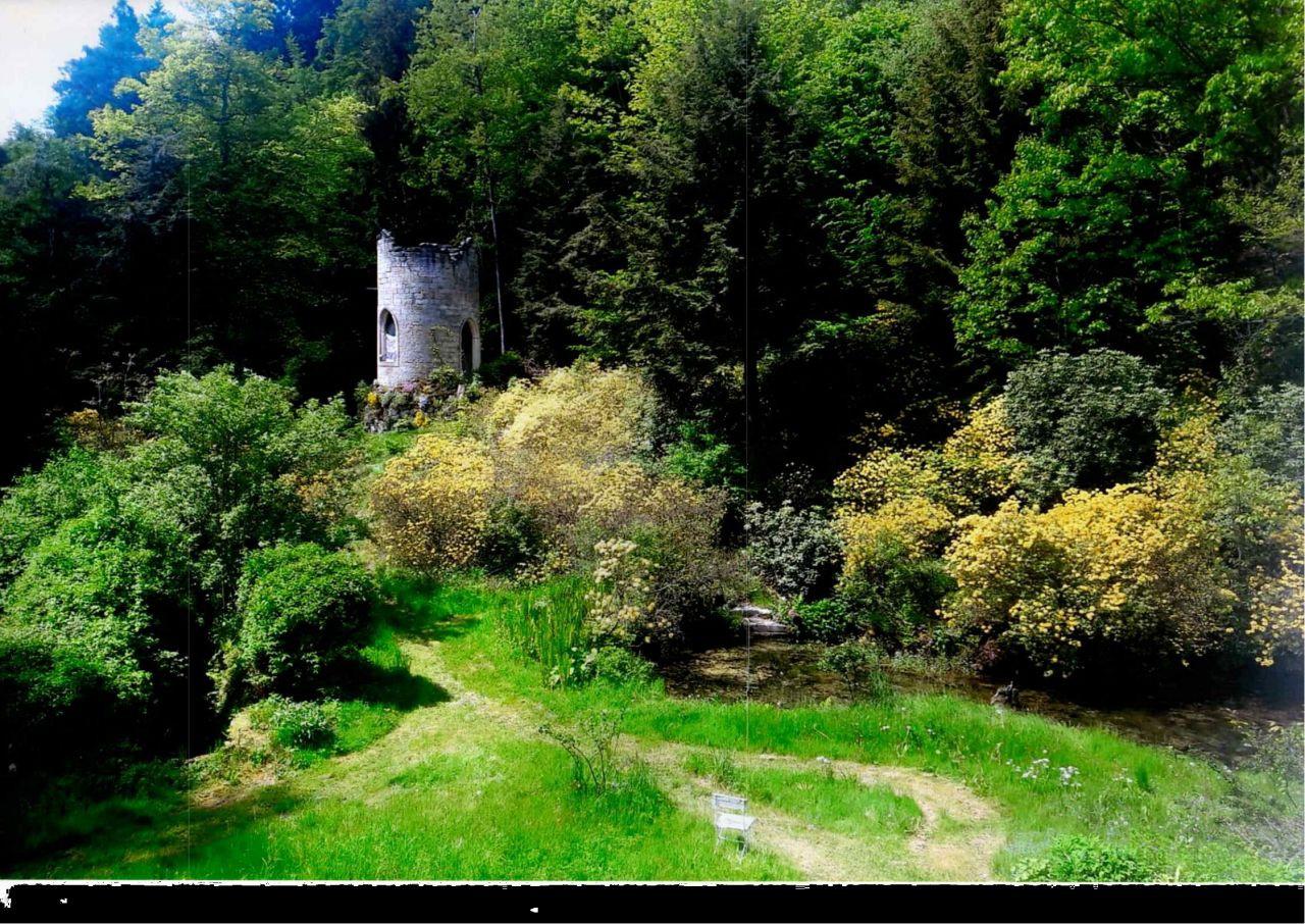 Parkimpressionen 3