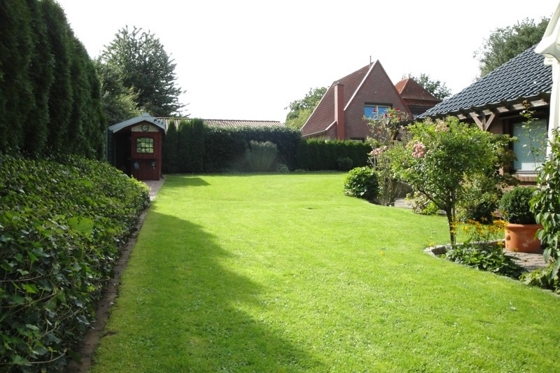 Blick in den Garten