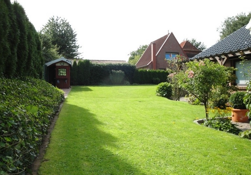 Blick in den Garten