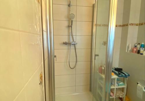 Dusche mit Toilette und Fenster im EG
