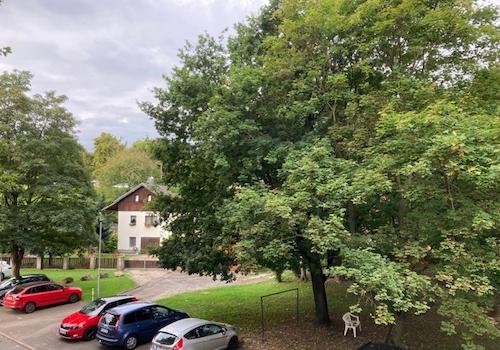 Ausblick Balkon