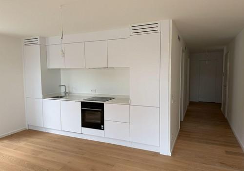 Küche + Wohnzimmer