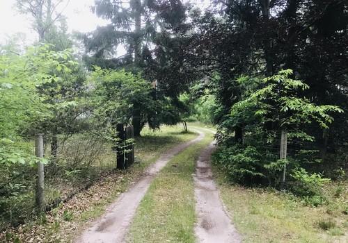 Einfahrt
