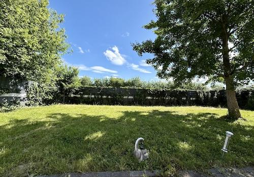 Wohnung 1: Garten