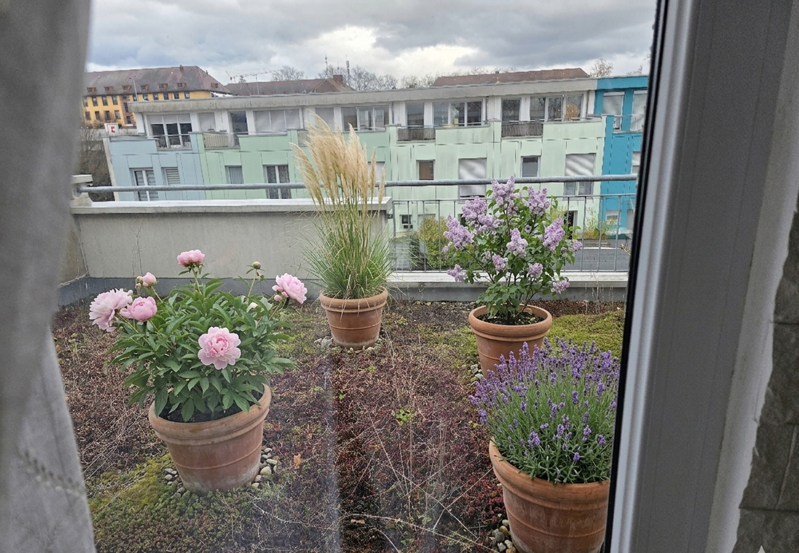 Dachterrasse Hinterseite