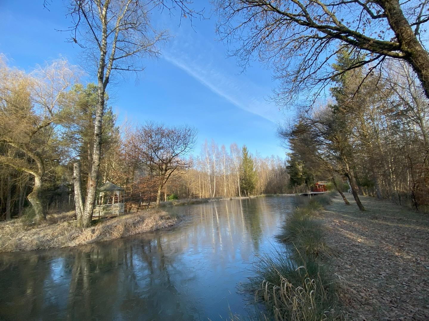Blick auf den See mit Insel