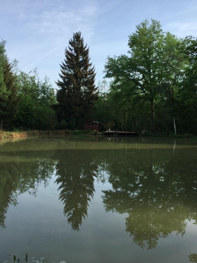 Blick über den See