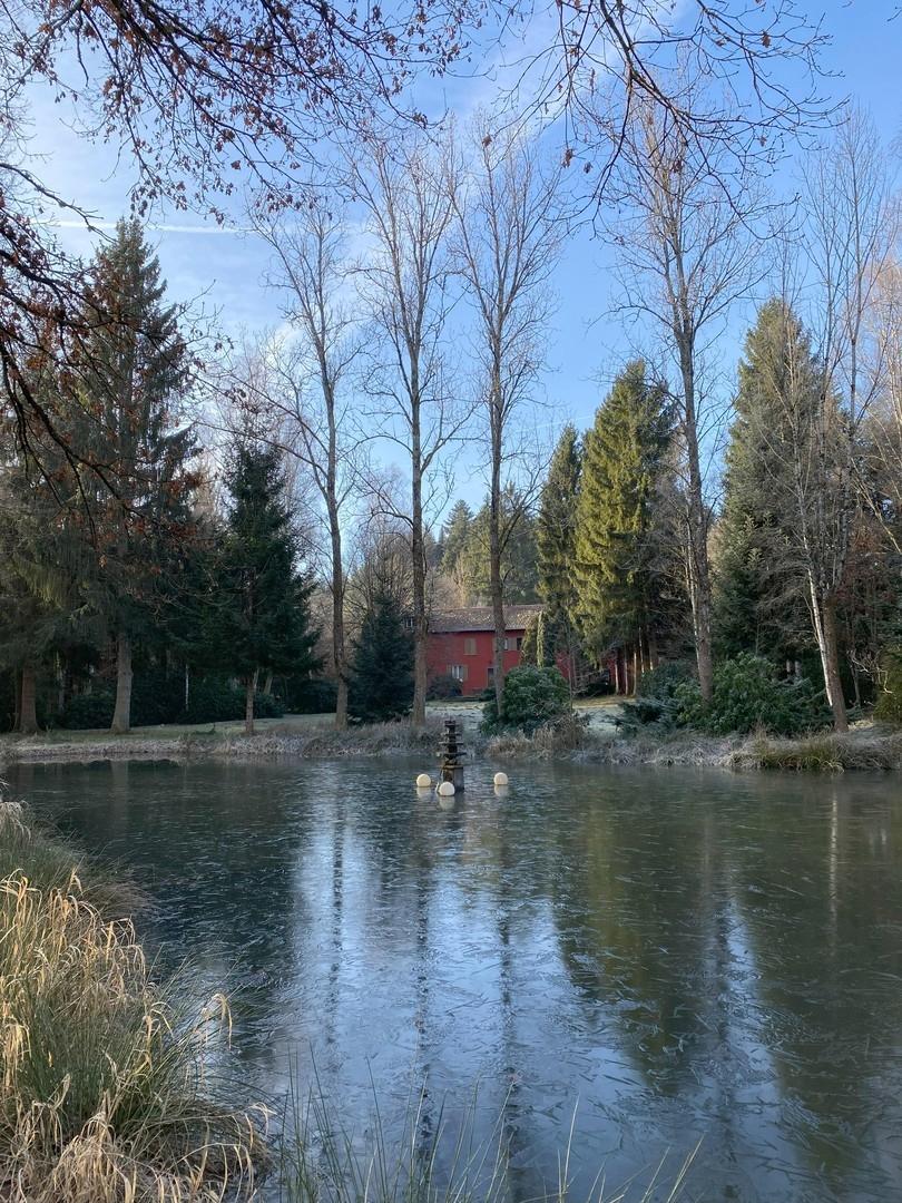 Blick vom See zum Haus