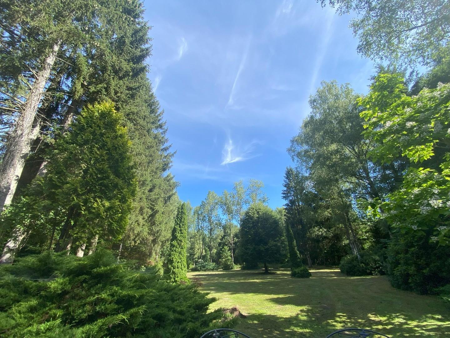 Blick in den Garten