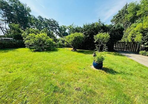 Viele Möglichkeiten im Garten