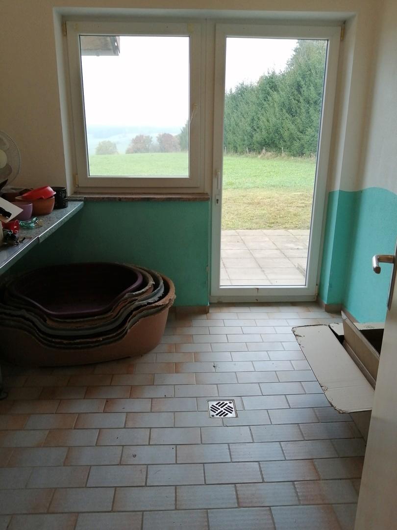 gewerbl. Raum m. West-Terrasse