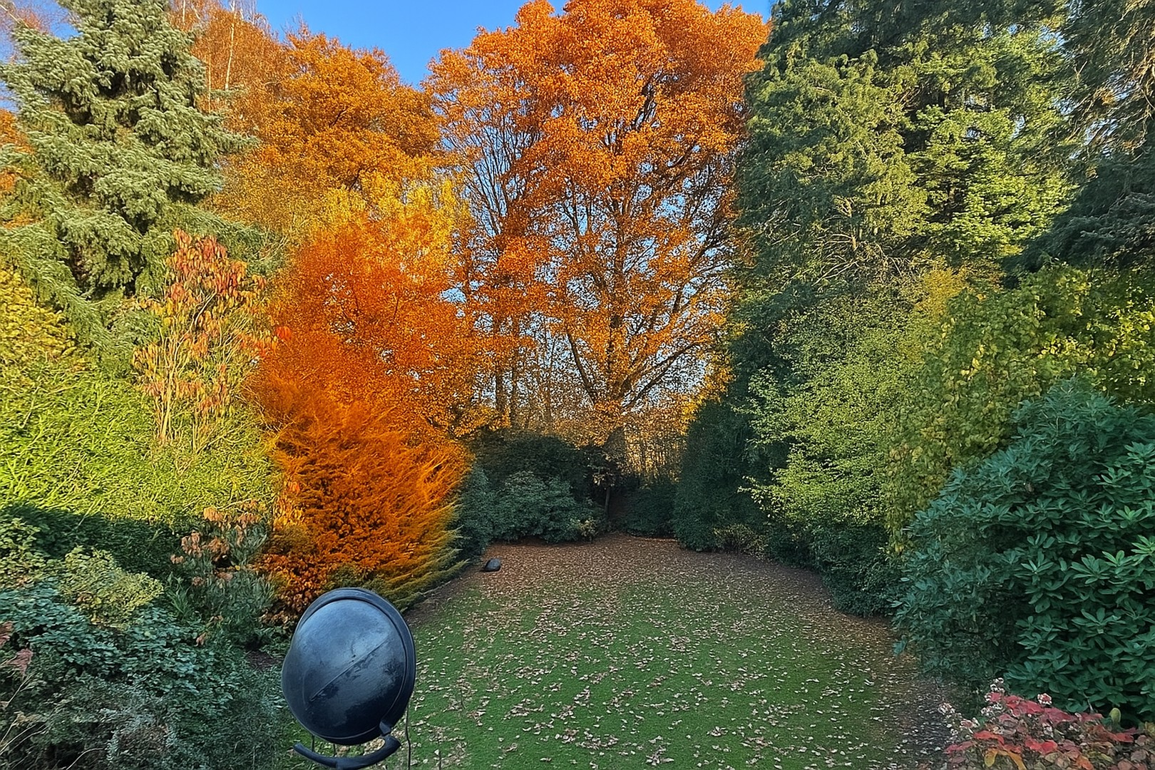 Herbstimpressionen