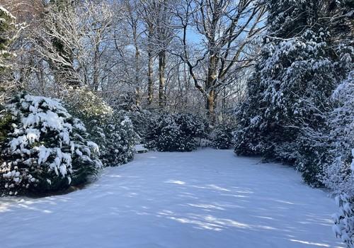 Winterimpressionen