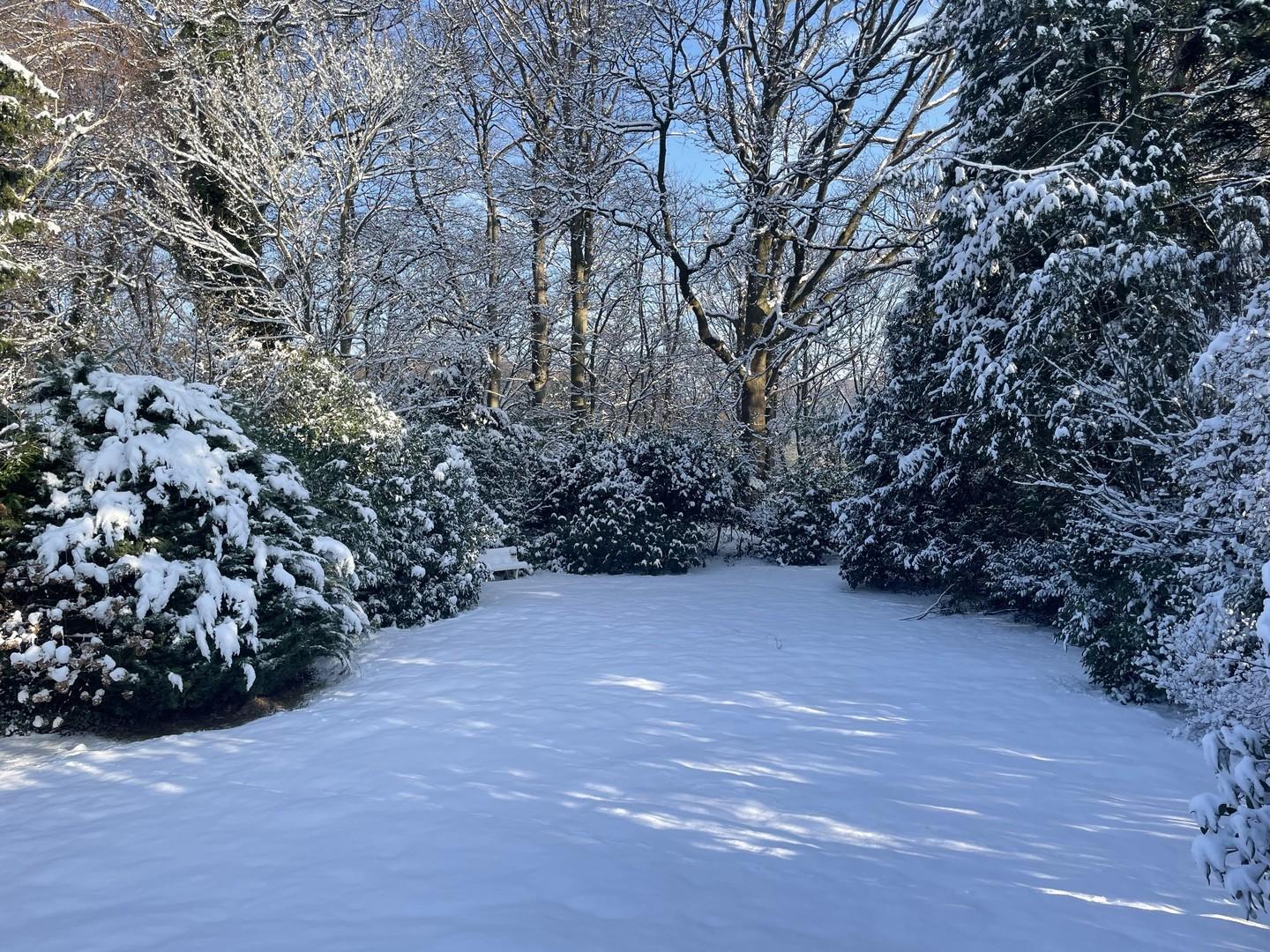 Winterimpressionen