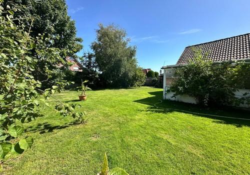 Blick in den Garten