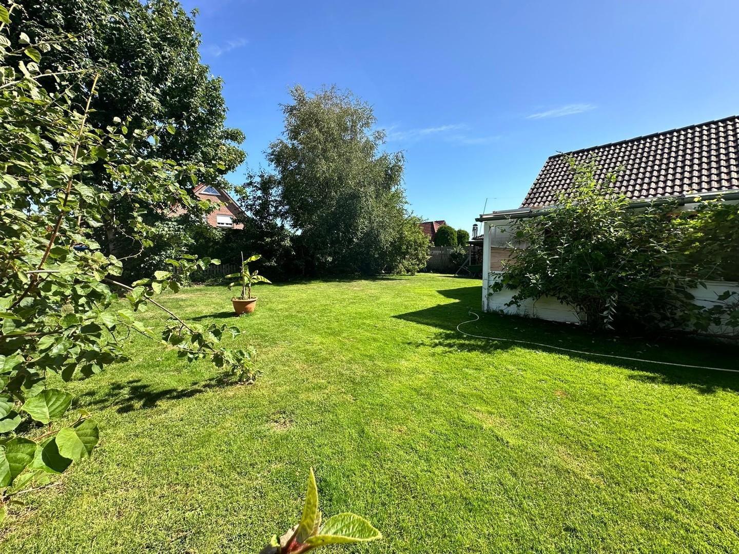 Blick in den Garten