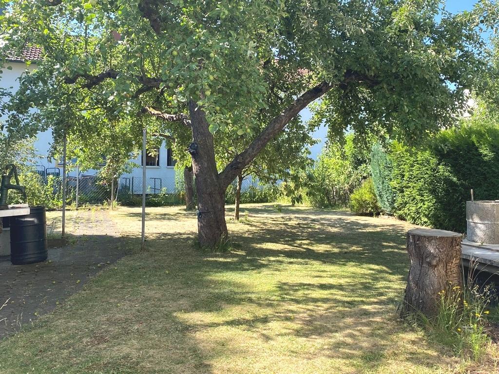 Garten teilansicht