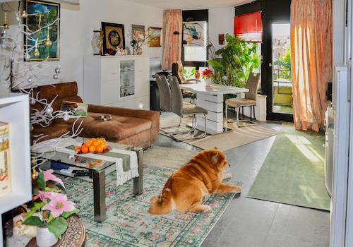 Wohnzimmer