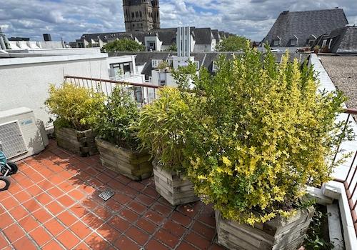 108 - Balkon zum Innenhof