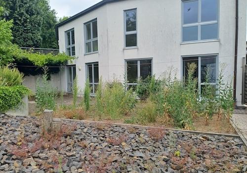 Garten u. Terrasse