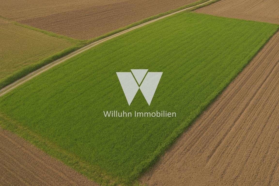 Refenrezbild Wiese
