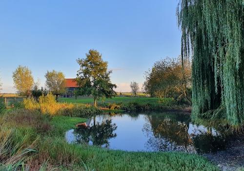 Teich / Ferienhaus