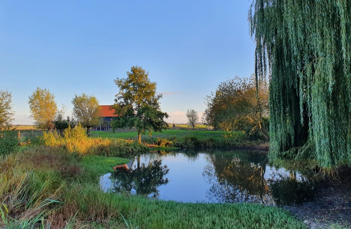 Teich / Ferienhaus