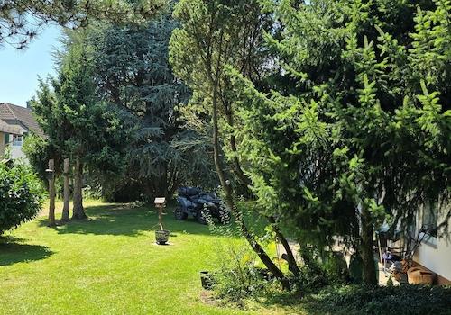 Garten vor Terrasse