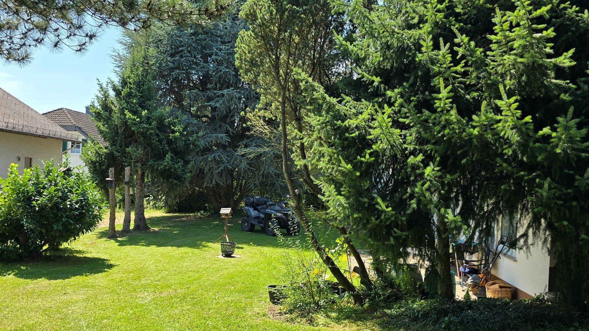 Garten vor Terrasse