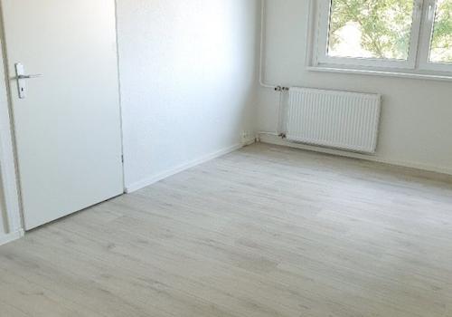 Beispielbilder