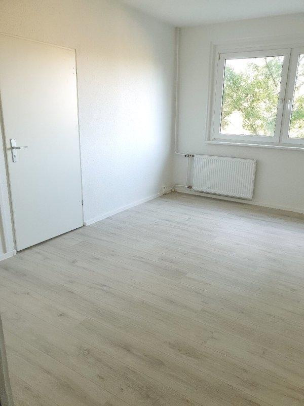 Beispielbilder