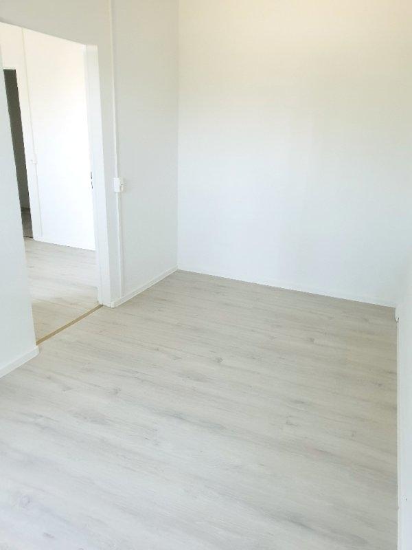 Beispielbilder