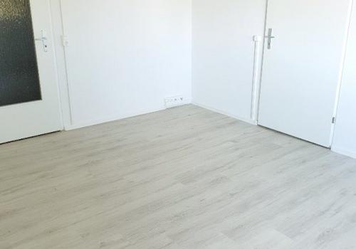 Beispielbilder