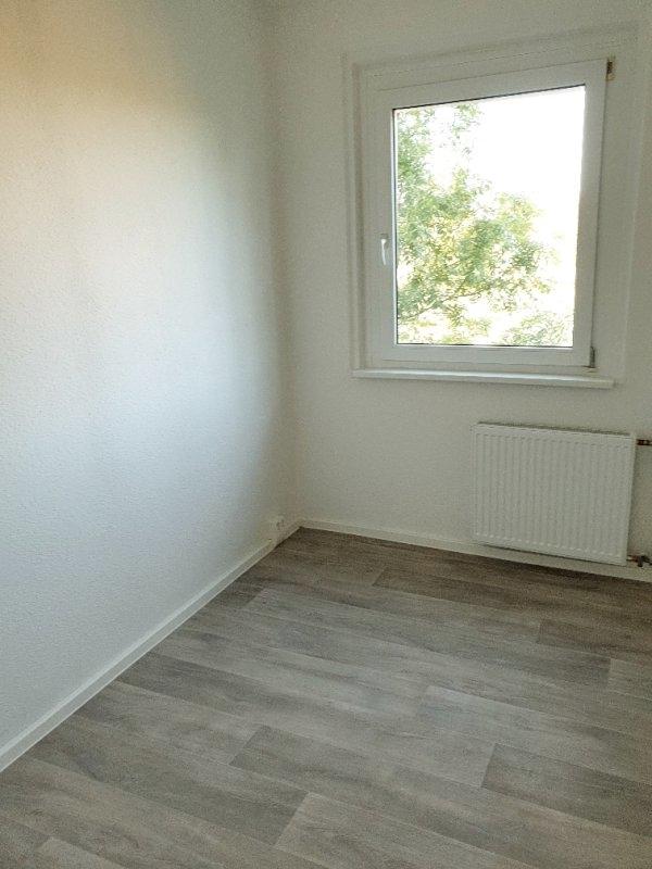 Beispielbilder