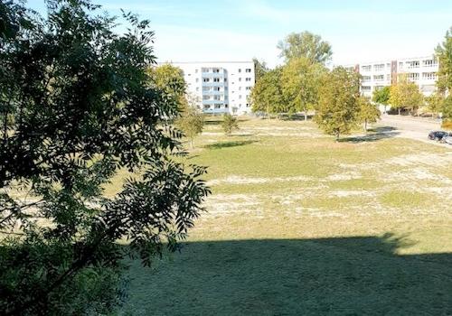 Beispielbilder