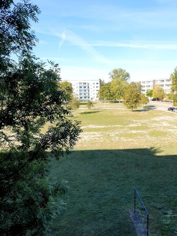 Beispielbilder