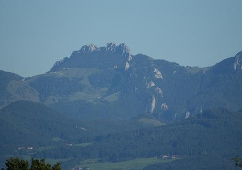 Ausblick