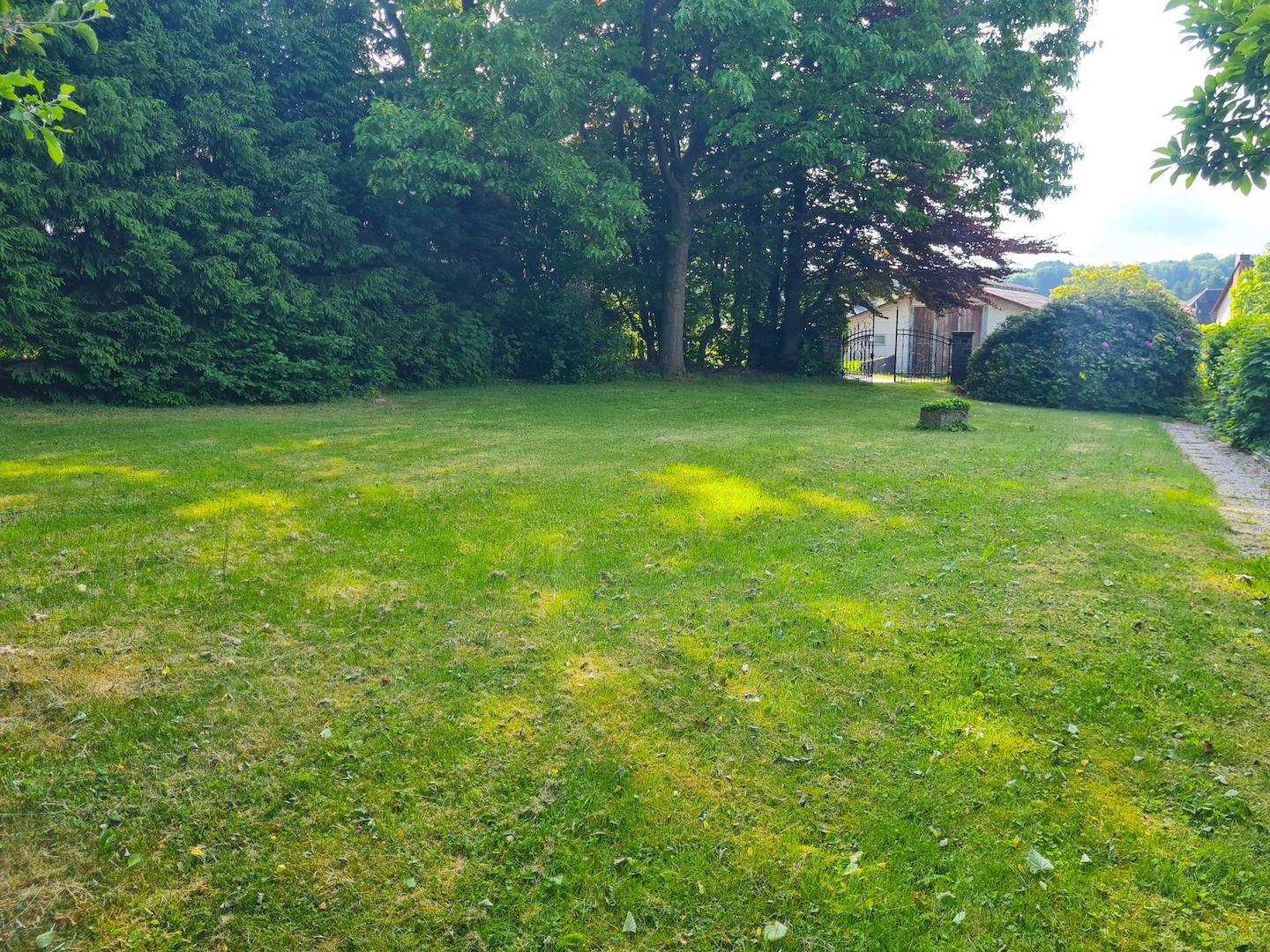 Blick ins Grüne