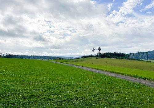 Aussicht