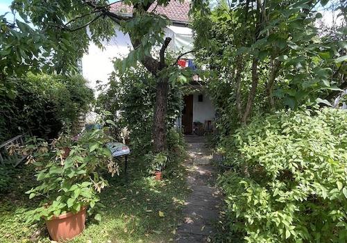 Durch den Garten zum Haus