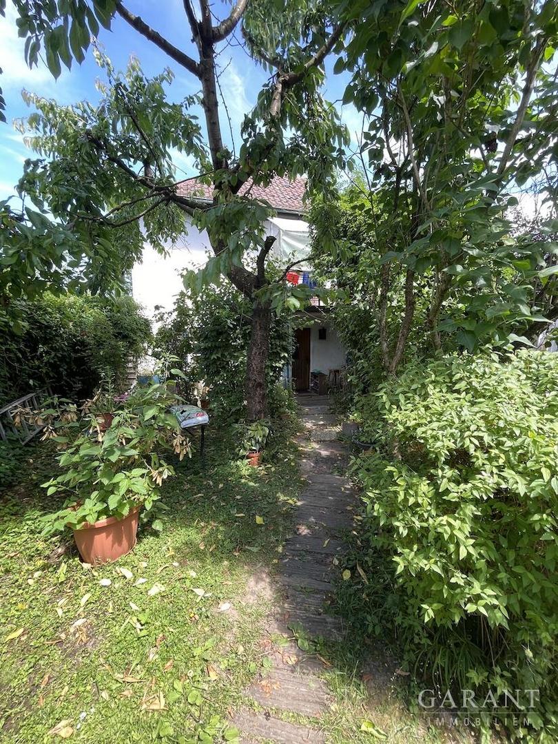 Durch den Garten zum Haus