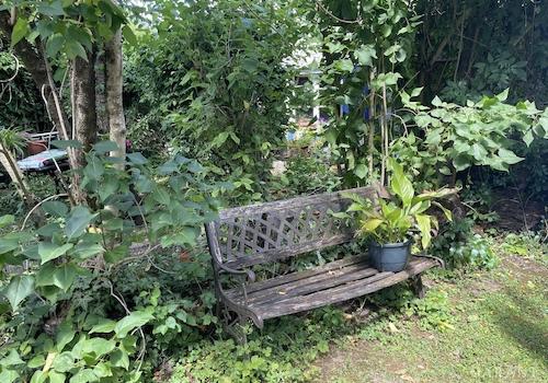 eine kleine Pause im Garten