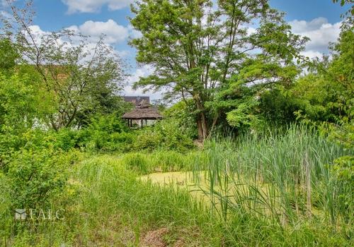 Garten mit Teich