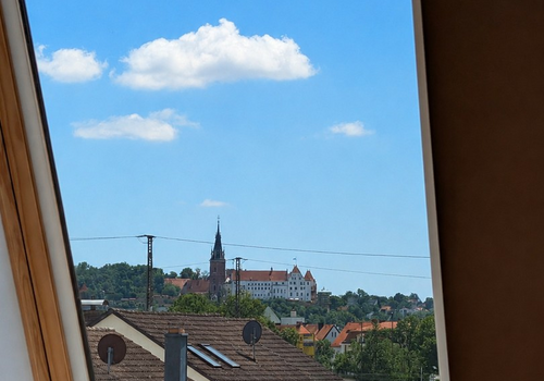 Blick auf Martinskirche & Burg