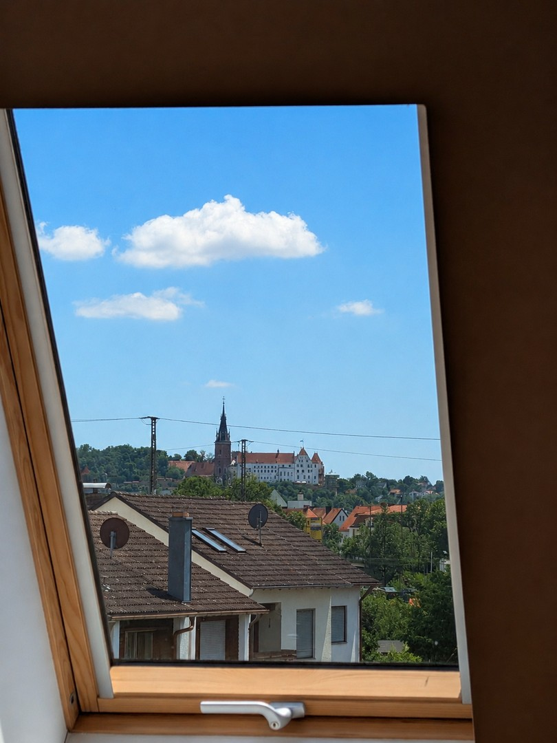 Blick auf Martinskirche & Burg